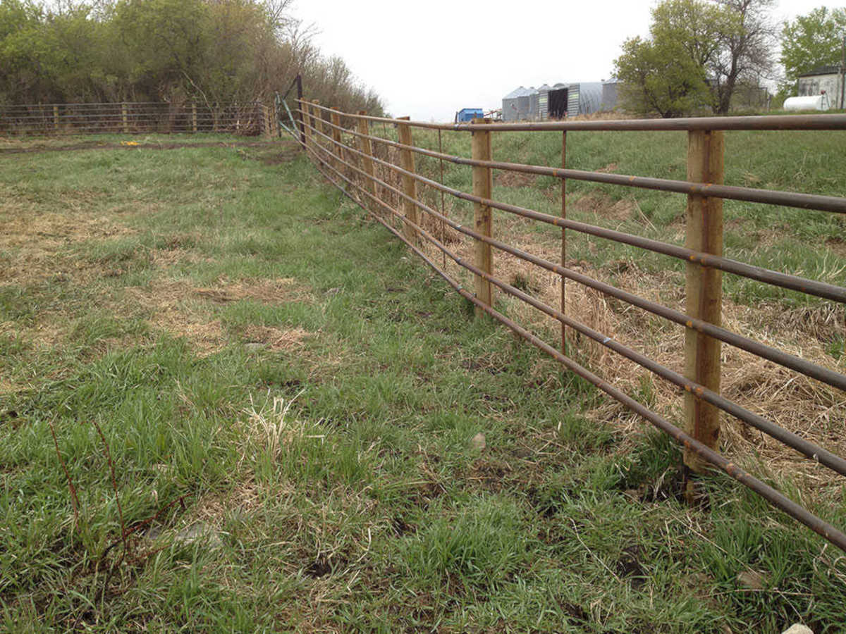 Steel Fencing