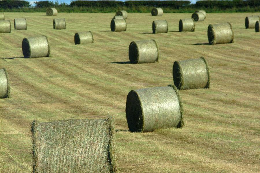 Round Bale Net Wrap Specs