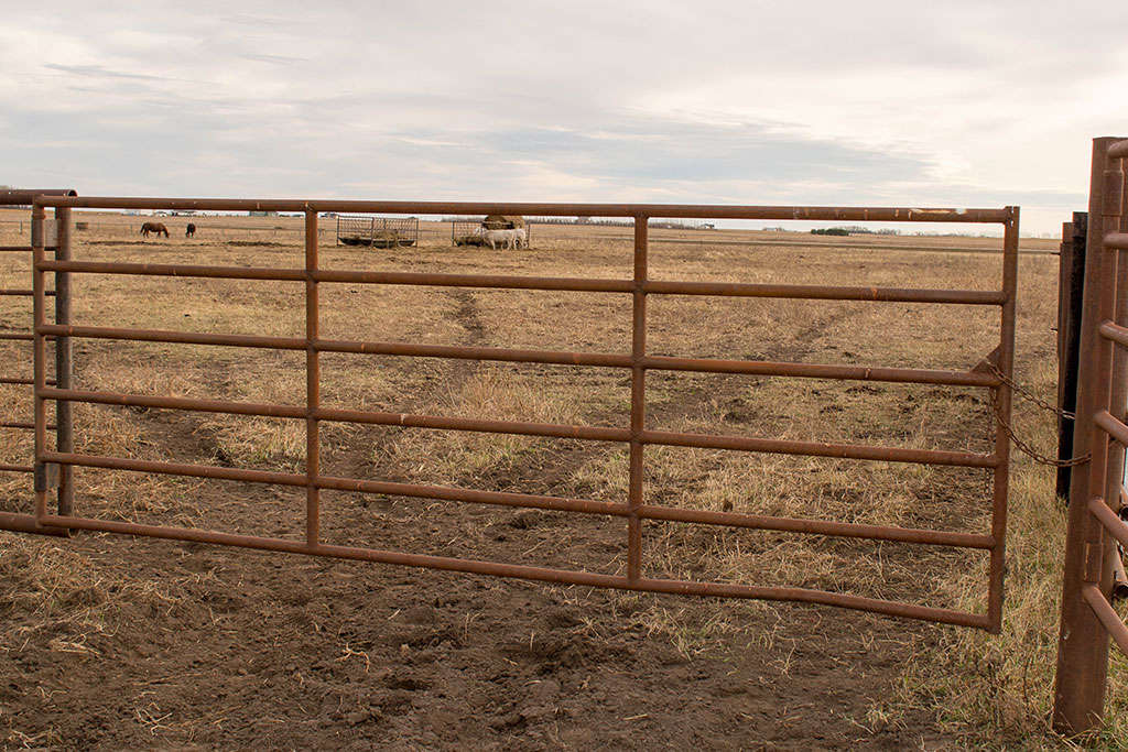 Steel Gates