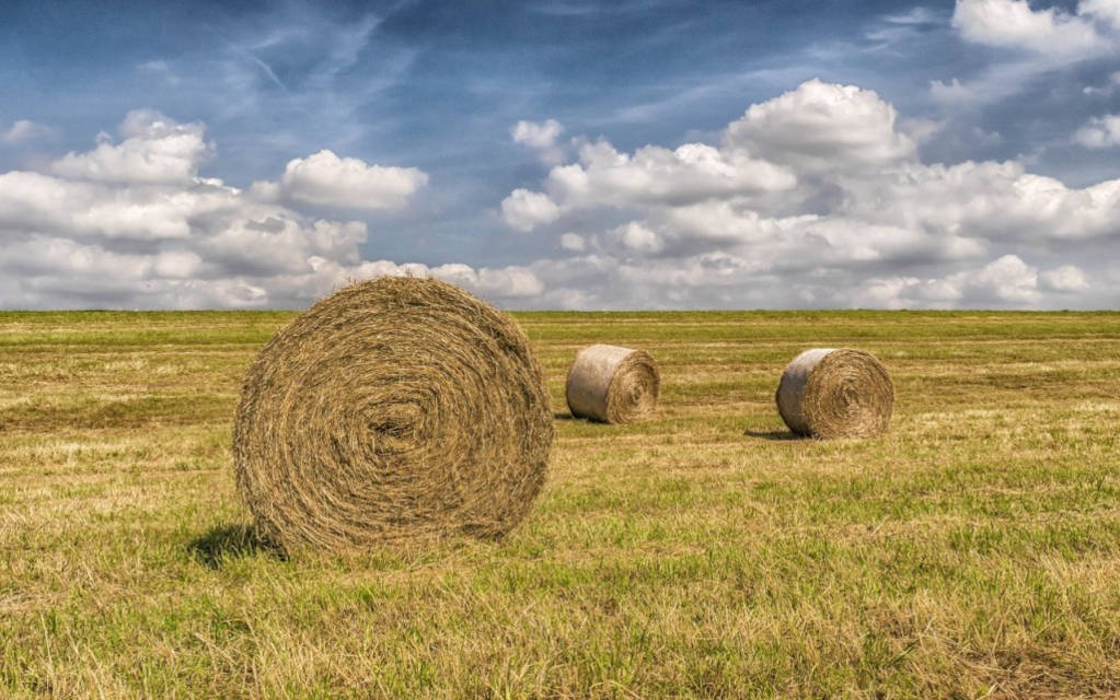 Quality Wrap for Quality Bales